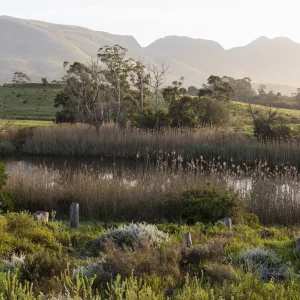 Tamodi Estate Polo Reserve South Africa Cape Estate